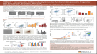 STEMdiff™ Hematopoietic Kit Reproducibly Generates Functional Hematopoietic Progenitor Cells from Human Pluripotent Stem Cells