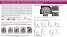 Long-Term Expansion of Mouse Hepatic Stem Cells in 3D Culture Using HepatiCult™: A Serum-Free Hepatic Organoid Expansion Medium
