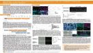 Generation of Human Pluripotent Stem Cell-Derived Astrocytes With the STEMdiff™ Astrocyte Serum-Free Culture System
