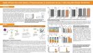 Highly Efficient Non-Viral Delivery of Macromolecules to Unactivated Human T Cells Using Microfluidic Transfection