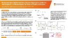 Pluripotent Stem Cell-Derived Bone Marrow Organoids to Probe the Hematopoietic and Mesenchymal Cell Niche in Health and Disease