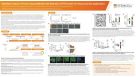 Optimized Culture of Human Nasal Epithelial Cells Maintains CFTR Function for Drug Screening Applications