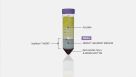 How to Isolate PBMCs from Whole Blood Using the SepMate™ PBMC Isolation Tubes: 15-Minute Protocol