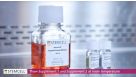 How to Culture Mouse Intestinal Organoids: Isolating Intestinal Crypts and Establishing Organoids