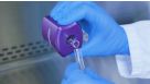How to Isolate Cells with EasySep™ Column-Free Cell Separation Technology