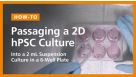 Passaging a 2D hPSC Culture into a 2 mL Suspension Culture in a 6-Well Plate