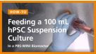 Feeding a 100mL hPSC Suspension Culture in a PBS-Mini Bioreactor