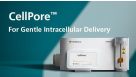 CellPore™: For Gentle Intracellular Delivery