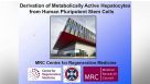 Derivation of Metabolically Active Hepatocytes from Human Pluripotent Stem Cells