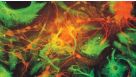 Standardized Media and Reagents for Neural Stem Cell Research with NeuroCult™