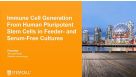 From hPSCs to Immune Cells: Immune Cell Generation from Human Pluripotent Stem Cells in Feeder- and Serum-Free Cultures