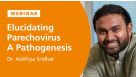 Elucidating Parechovirus A Pathogenesis Using Organoid Models