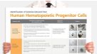Identification of Colonies Derived from Human Hematopoietic Progenitors