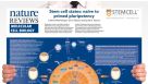 Stem Cell States: Naive to Primed Pluripotency