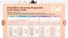 SnapShot: Growing Organoids from Stem Cells