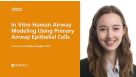 In Vitro Human Airway Modeling Using Primary Airway Epithelial Cells