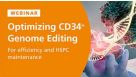 Optimizing CD34+ Cell Genome Editing for Efficiency and HSPC Maintenance