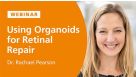 Using Organoids for Retinal Repair