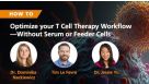 How to Optimize Your T Cell Therapy Workflow—Without the Use of Serum or Feeder Cells