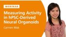 Measuring Activity in hPSC-Derived Neural Organoids