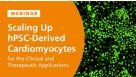 Scaling-Up hPSC-Derived Cardiomyocytes for Preclinical and Therapeutic Applications