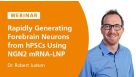 Rapidly Generating Functional Forebrain Neurons from hiPSCs Using an NGN2 mRNA-LNP Platform