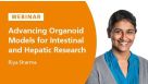 Advancing Organoid Models: Introducing New Capabilities for Intestinal and Hepatic Research