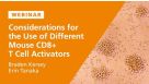 Mouse CD8+ T Cell Activation Methods