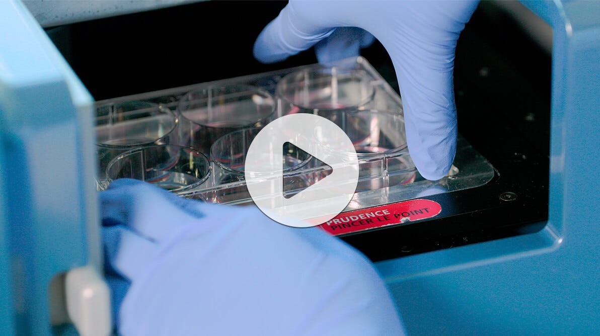 Watch this video for step-by-step guidelines for the use of
STEMvision™ to standardize your colony counts.